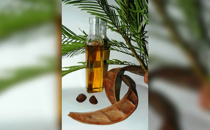 Pracaxi Oil